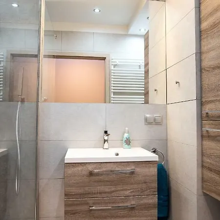 Katarzyna Apartment Torun Exterior photo